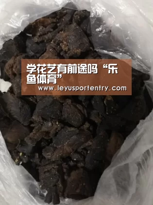 学花艺有前途吗“乐鱼体育”(图2)