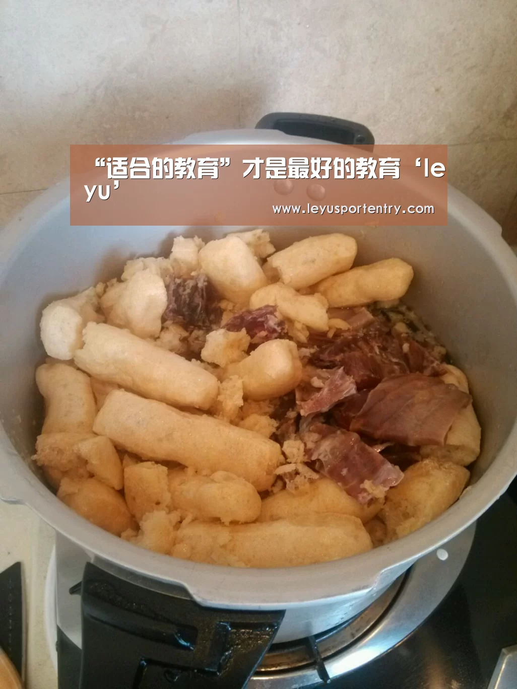 乐鱼体育在线登录
