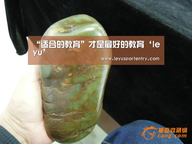 “适合的教育”才是最好的教育‘leyu’(图4)