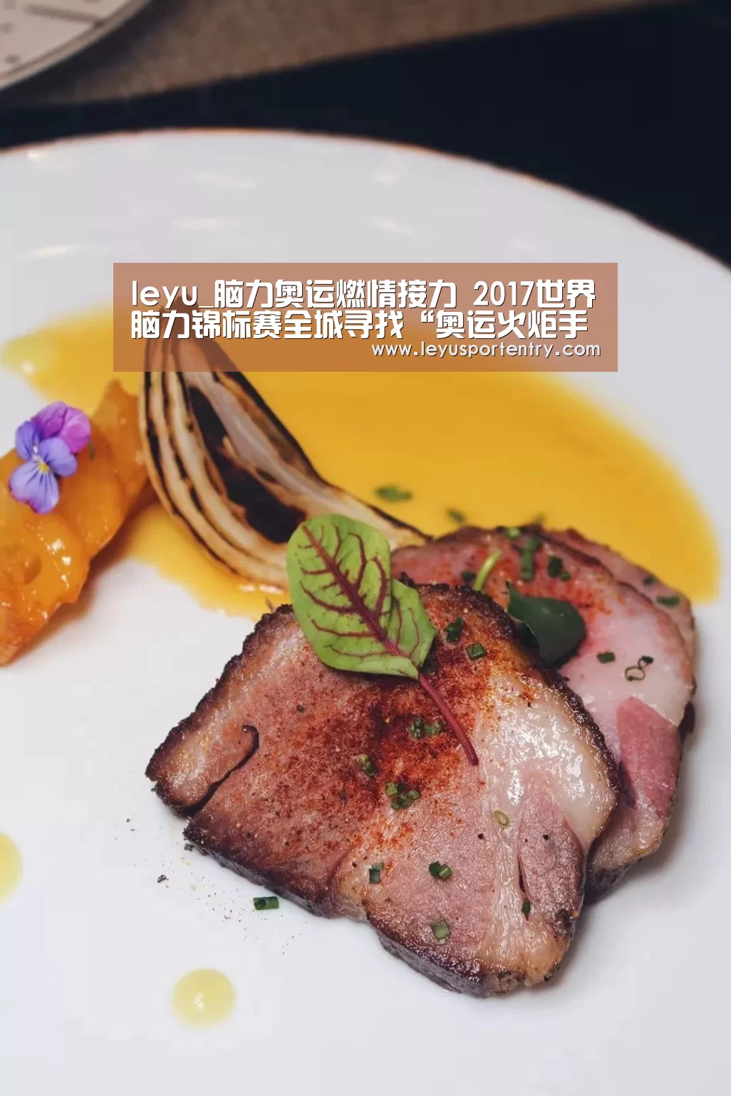 leyu_脑力奥运燃情接力 2017世界脑力锦标赛全城寻找“奥运火炬手”(图4) 乐鱼登录