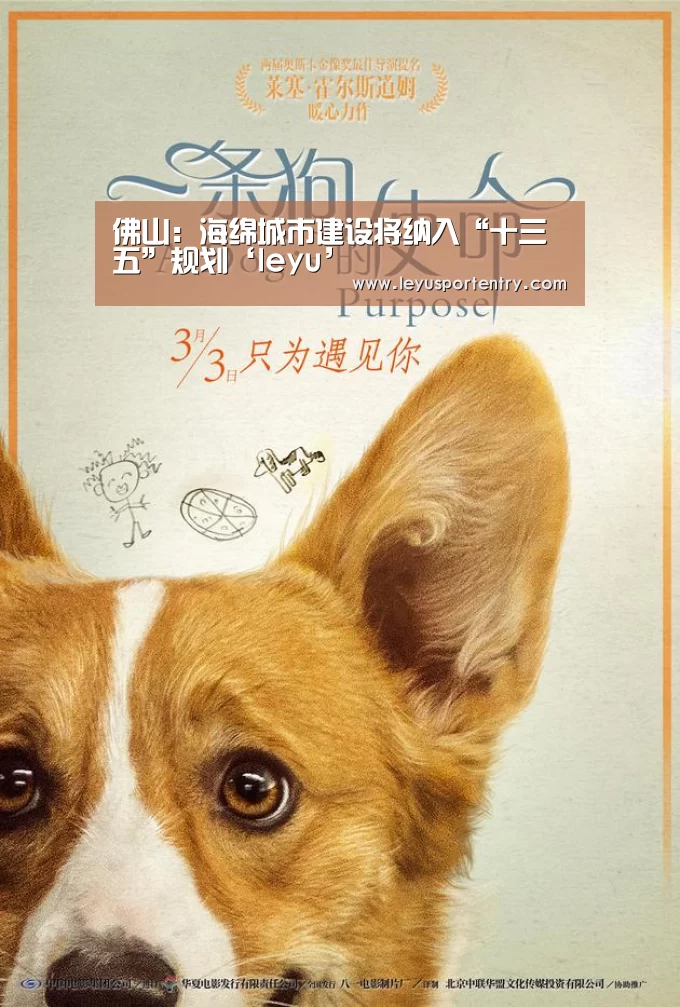 佛山：海绵城市建设将纳入“十三五”规划‘leyu’(图2)