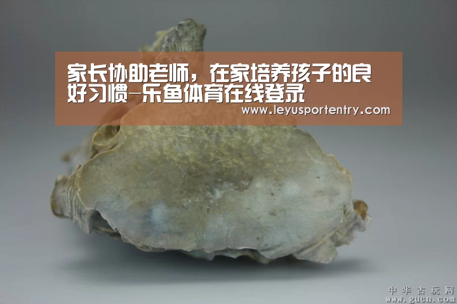 乐鱼体育在线登录