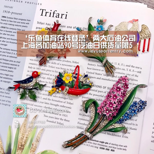 乐鱼体育在线登录