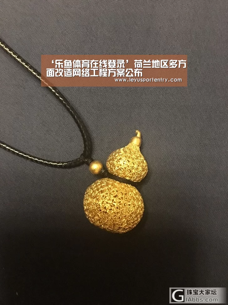 ‘乐鱼体育在线登录’荷兰地区多方面改造网络工程方案公布(图3) 乐鱼登录