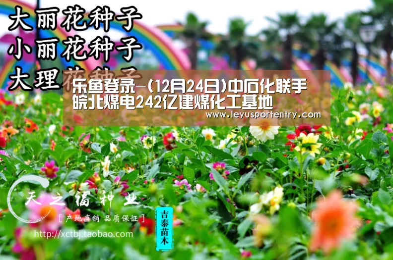 乐鱼体育在线登录