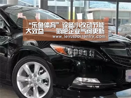 “乐鱼体育”设备小改动节能大效益——氮肥企业气阀更新换代带来的变化(图4) 乐鱼登录