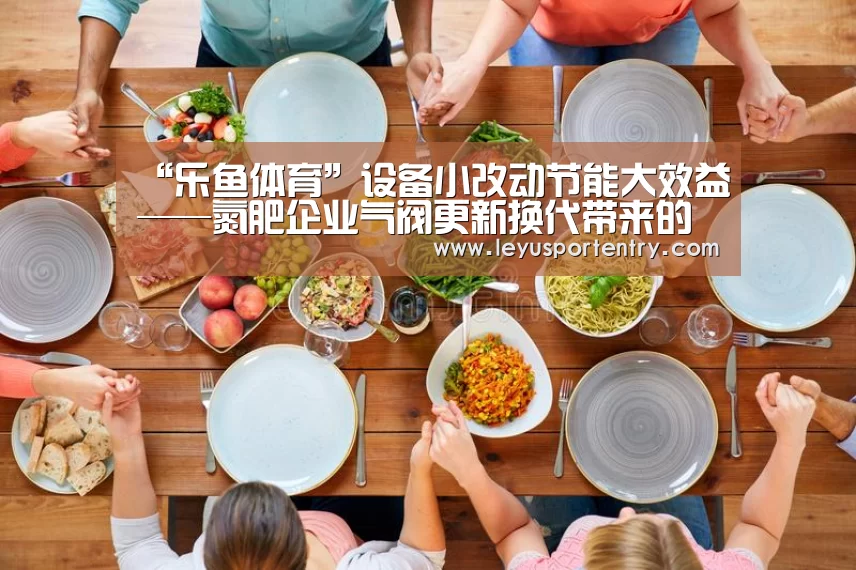 “乐鱼体育”设备小改动节能大效益——氮肥企业气阀更新换代带来的变化(图3) 乐鱼体育