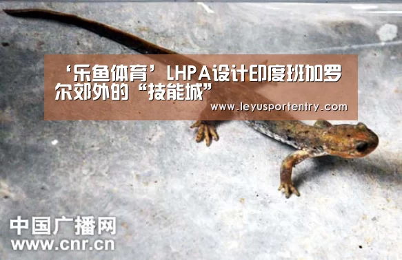 乐鱼登录