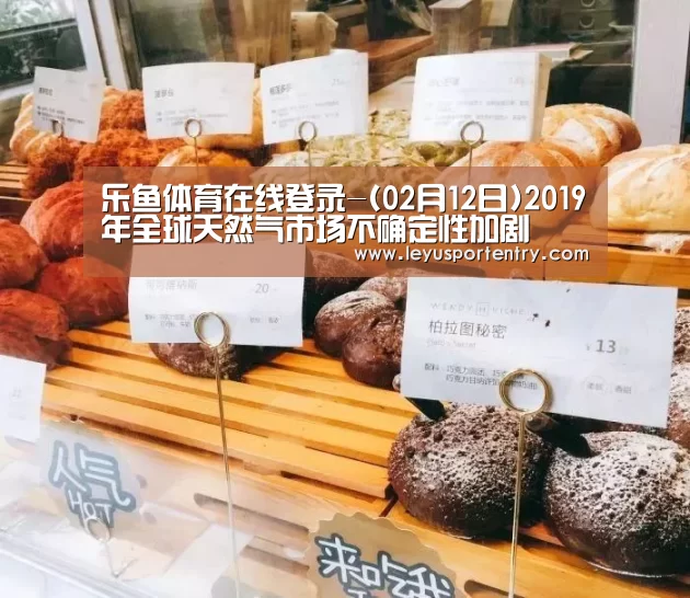 乐鱼体育在线登录-(02月12日)2019年全球天然气市场不确定性加剧(图3) 乐鱼体育