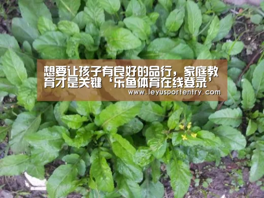 想要让孩子有良好的品行,家庭教育才是关键‘乐鱼体育在线登录’(图1) 乐鱼体育在线登录
